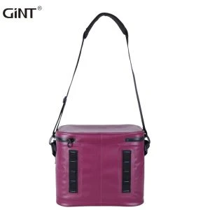 GiNT Hot Sale Ice Cooler Bag