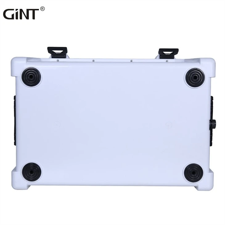 GiNT Cooler Box