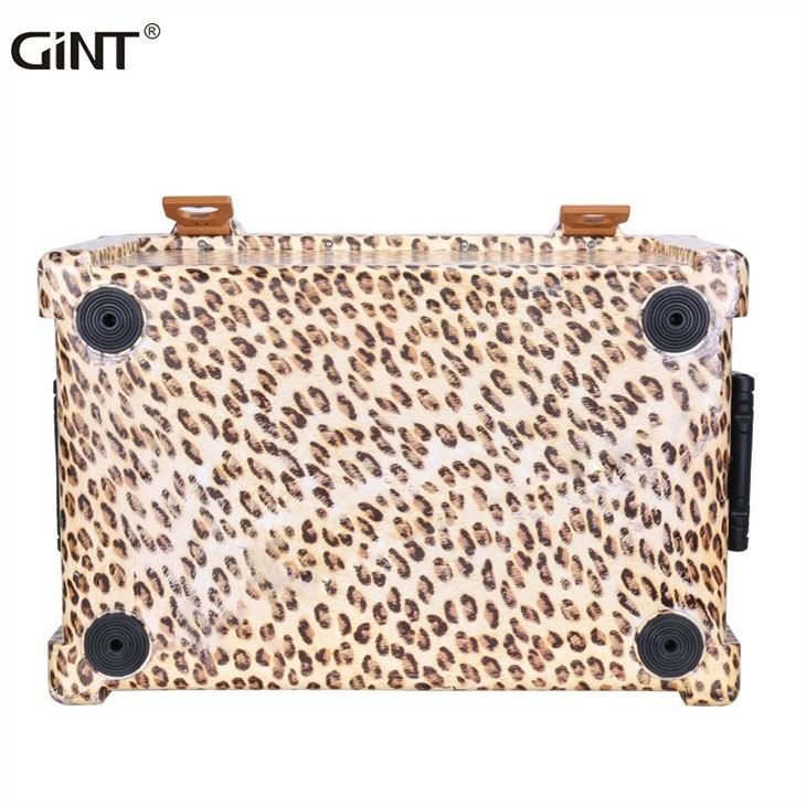 GiNT Cooler